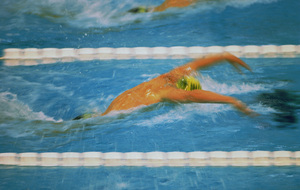 Natation_sample6.jpg